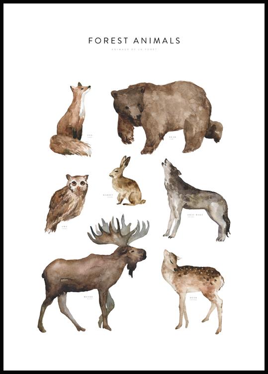 tit drag parti Forest Animals Plakat - Motiv med skov dyr