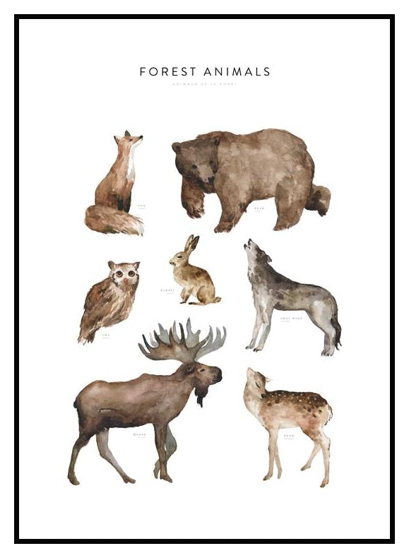 Plakat Zwierzęta Leśne (40x50 cm) - Poster Store