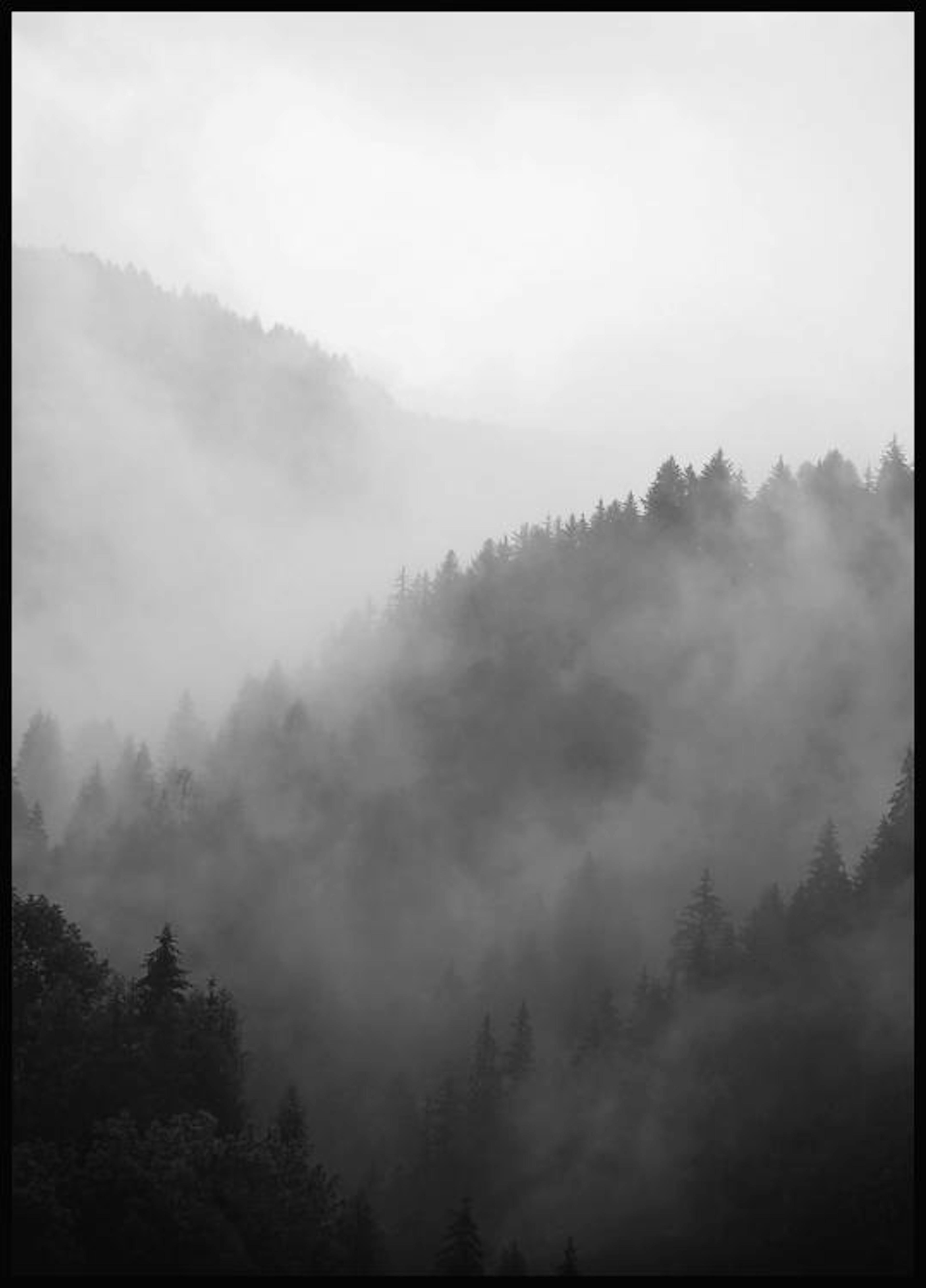 안개낀 숲 흑백 포스터 0