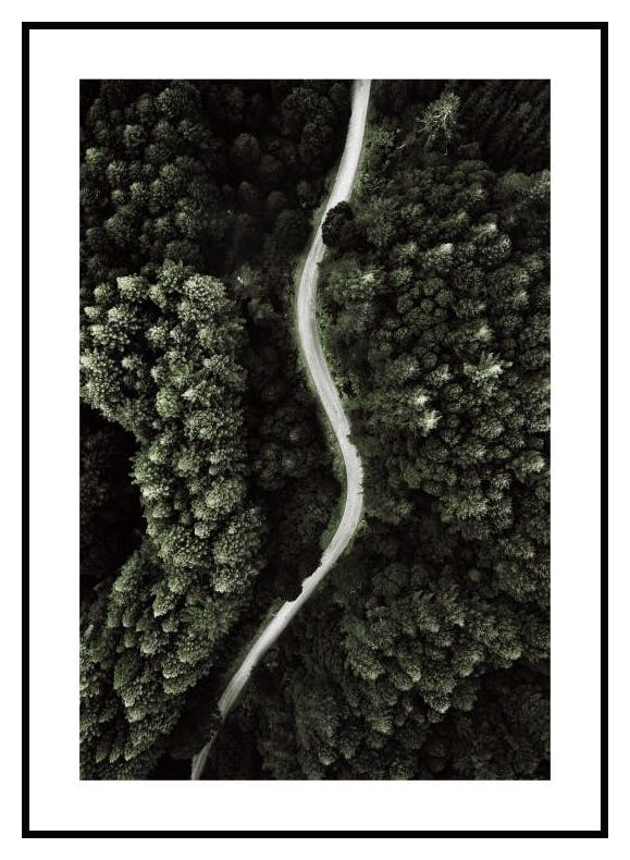 Plakat Droga przez Las (40x50 cm) - Poster Store
