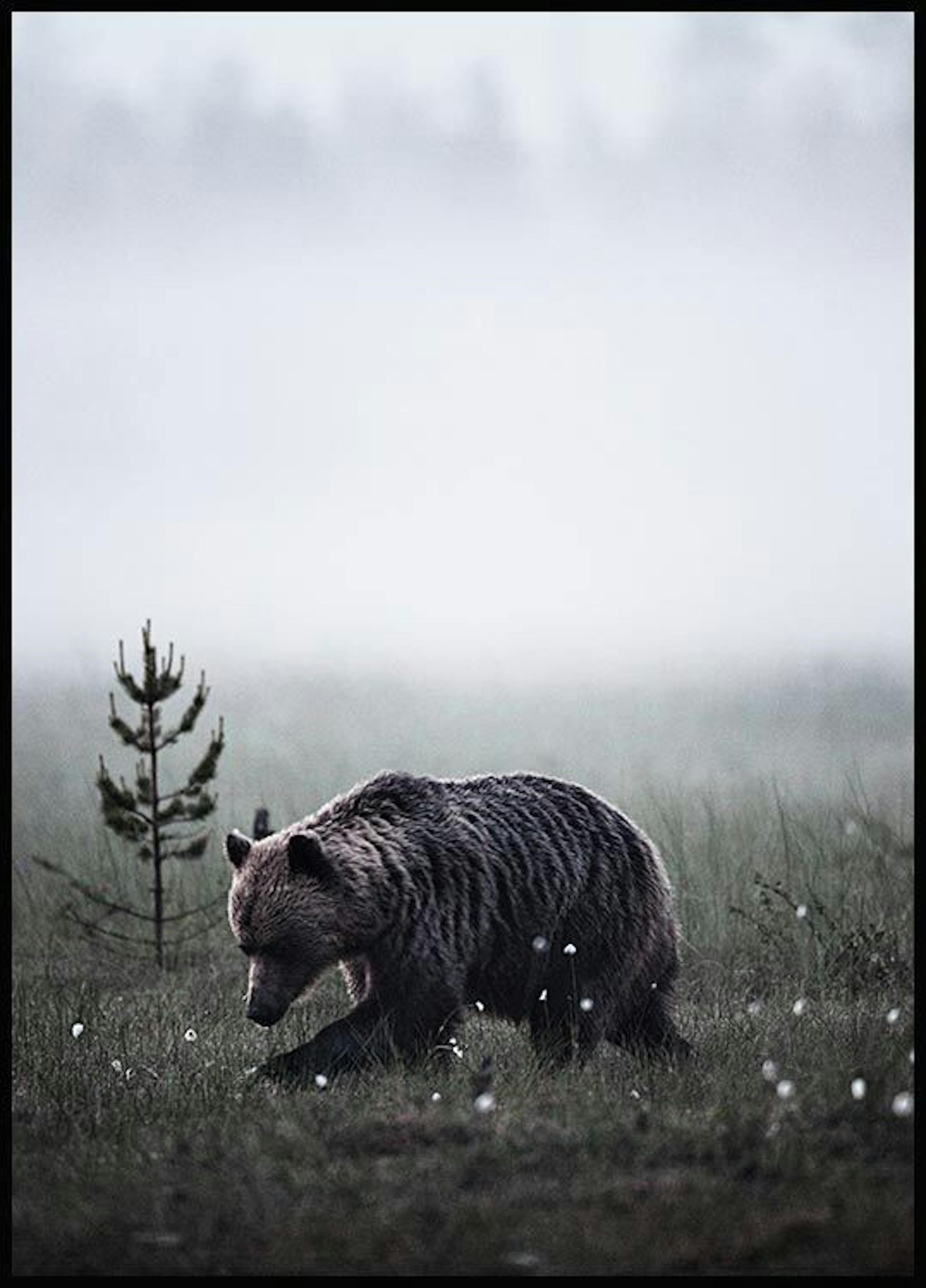 歩く熊 ポスター 0
