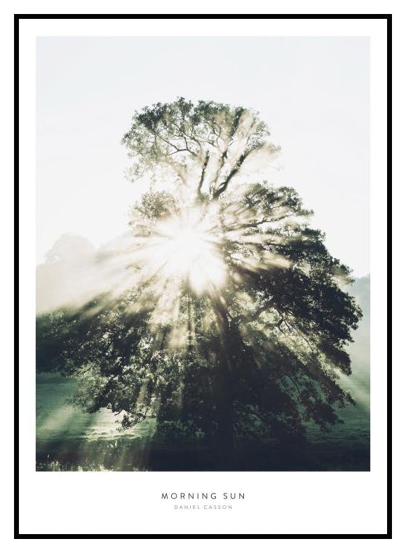 Morning Sun Poster (40x50 cm) - Poster Store