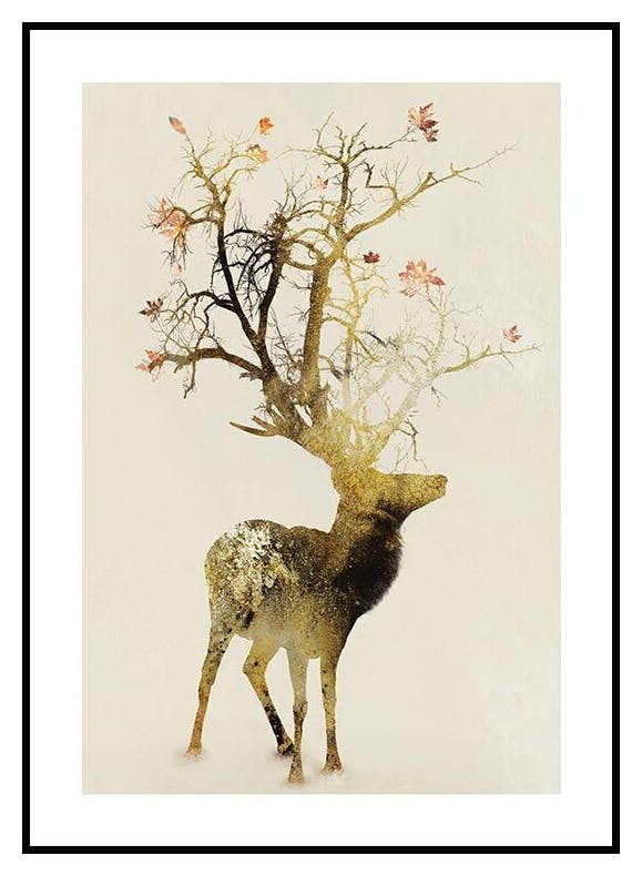 Autumn Plakat (50x70 cm) - Poster Store