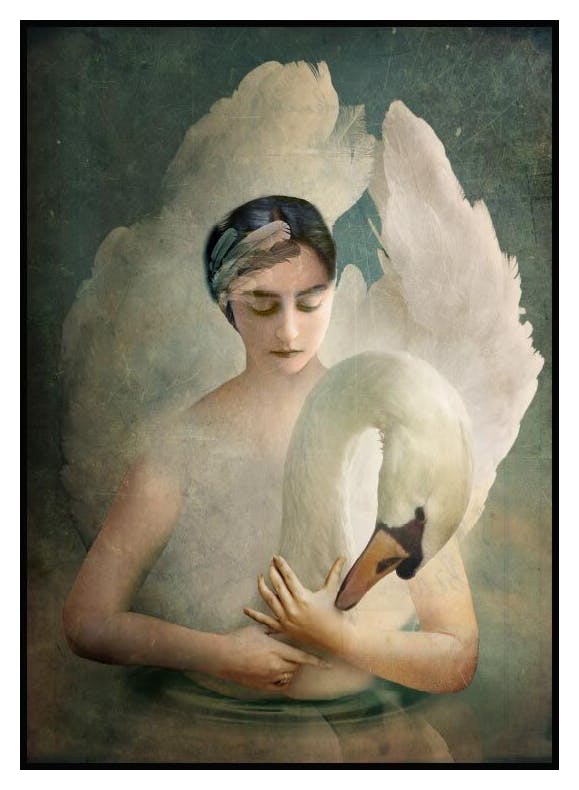 Odette Poster (21x30 cm) - Poster Store
