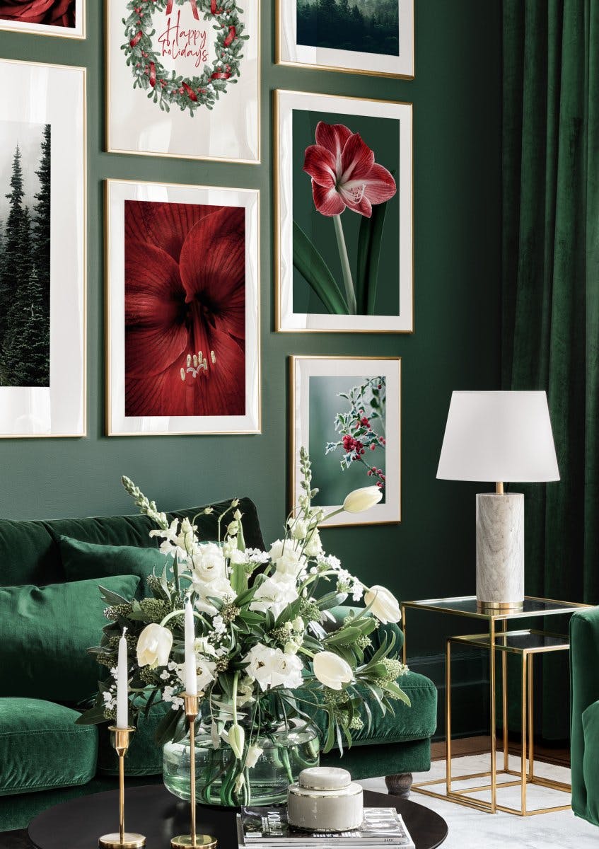Red Amaryllis Poster (21x30 cm) - Poster Store