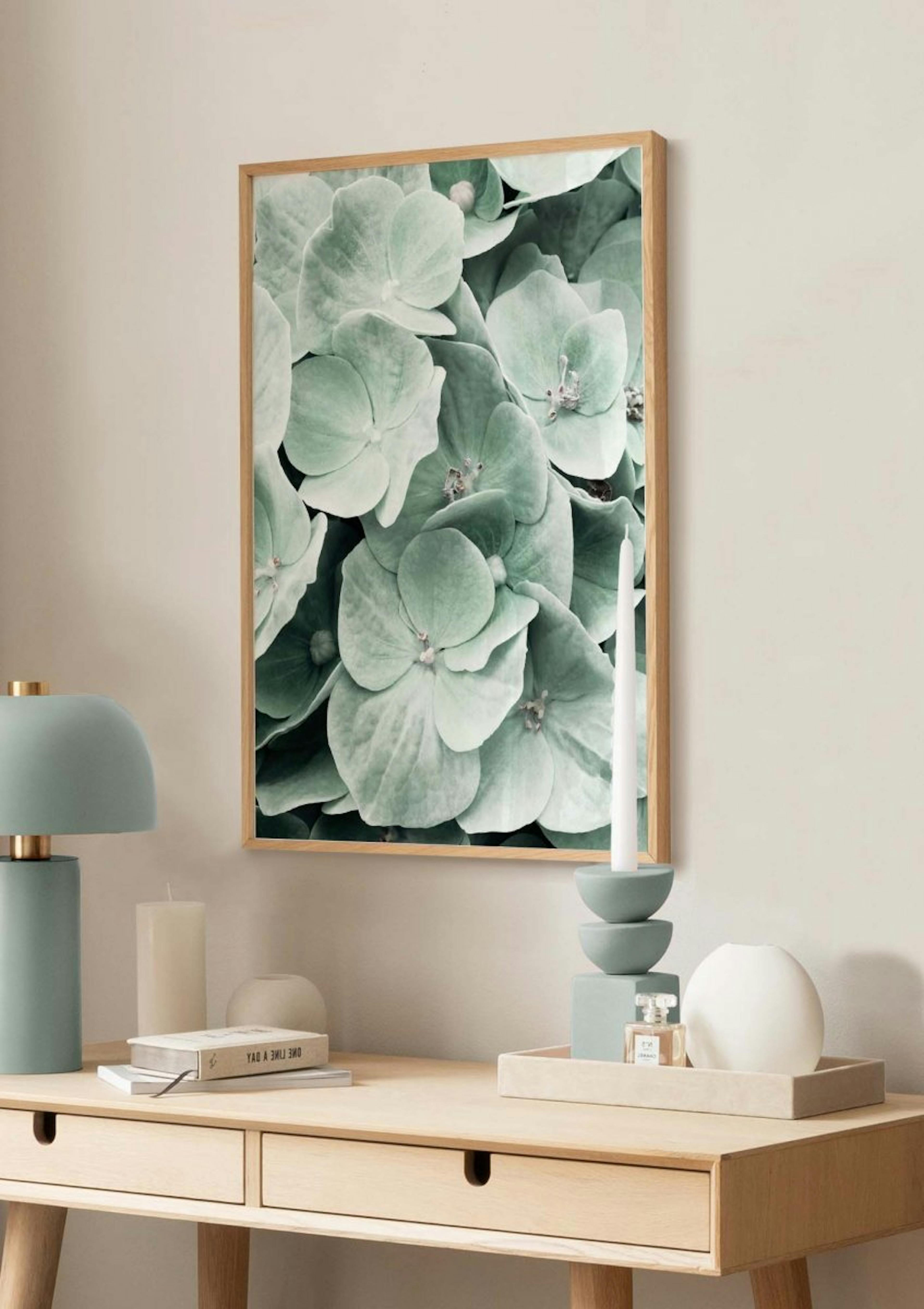 Hydrangea Flower Poster thumbnail