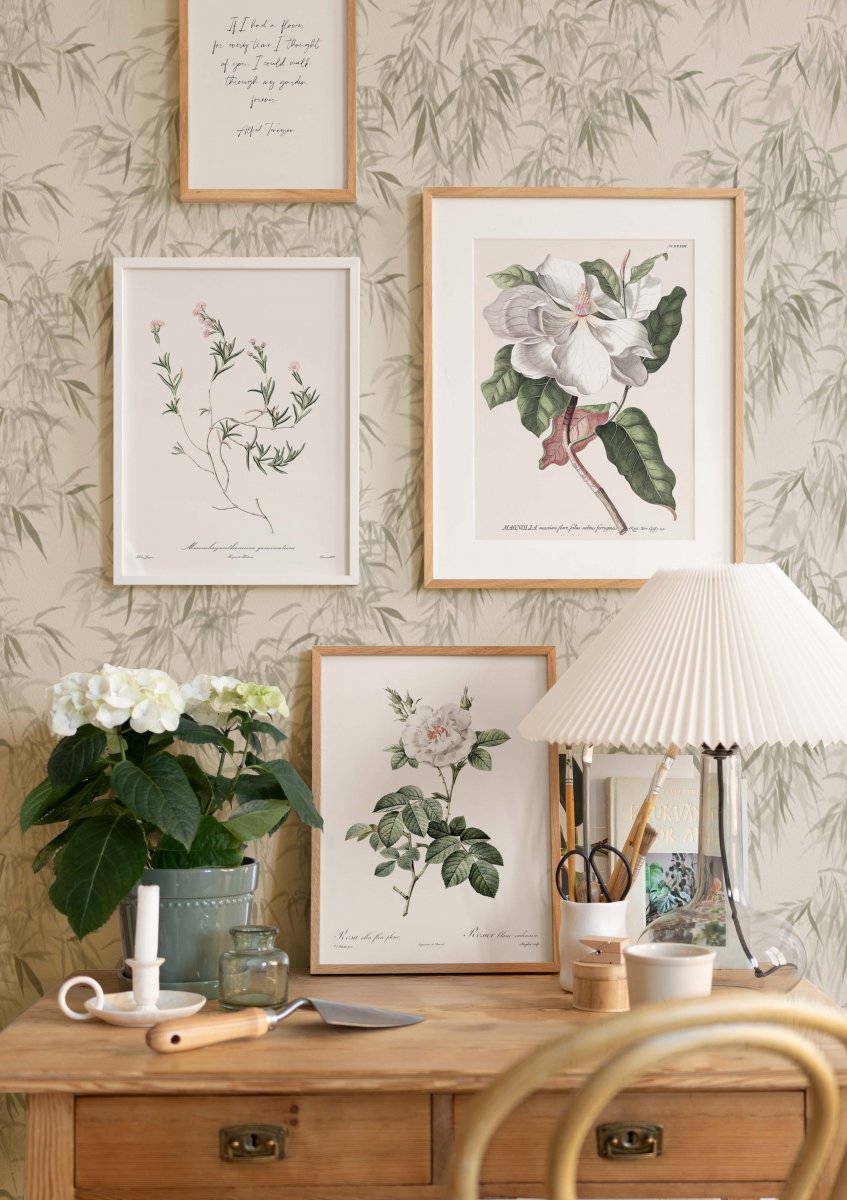 Vintage Flower Poster - prints Magnolia