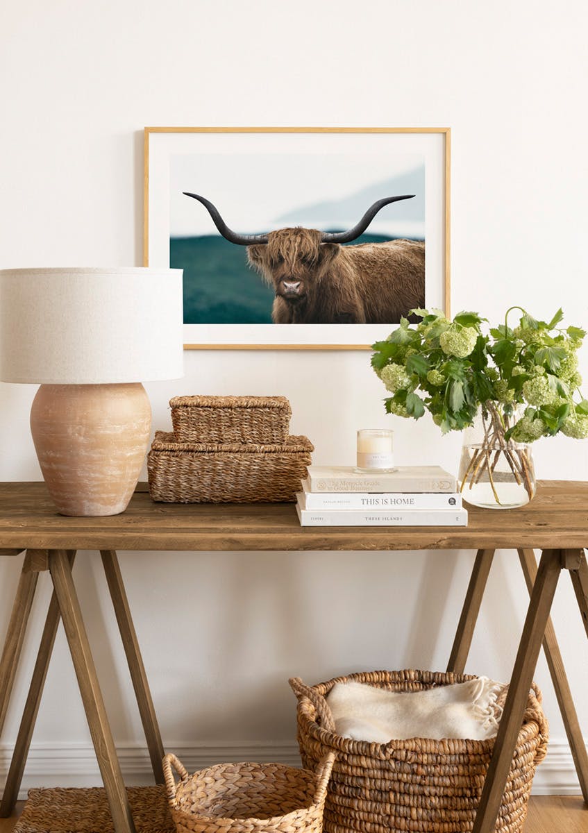 Wild Highland Cattle Poster (30x40 cm) - Poster Store