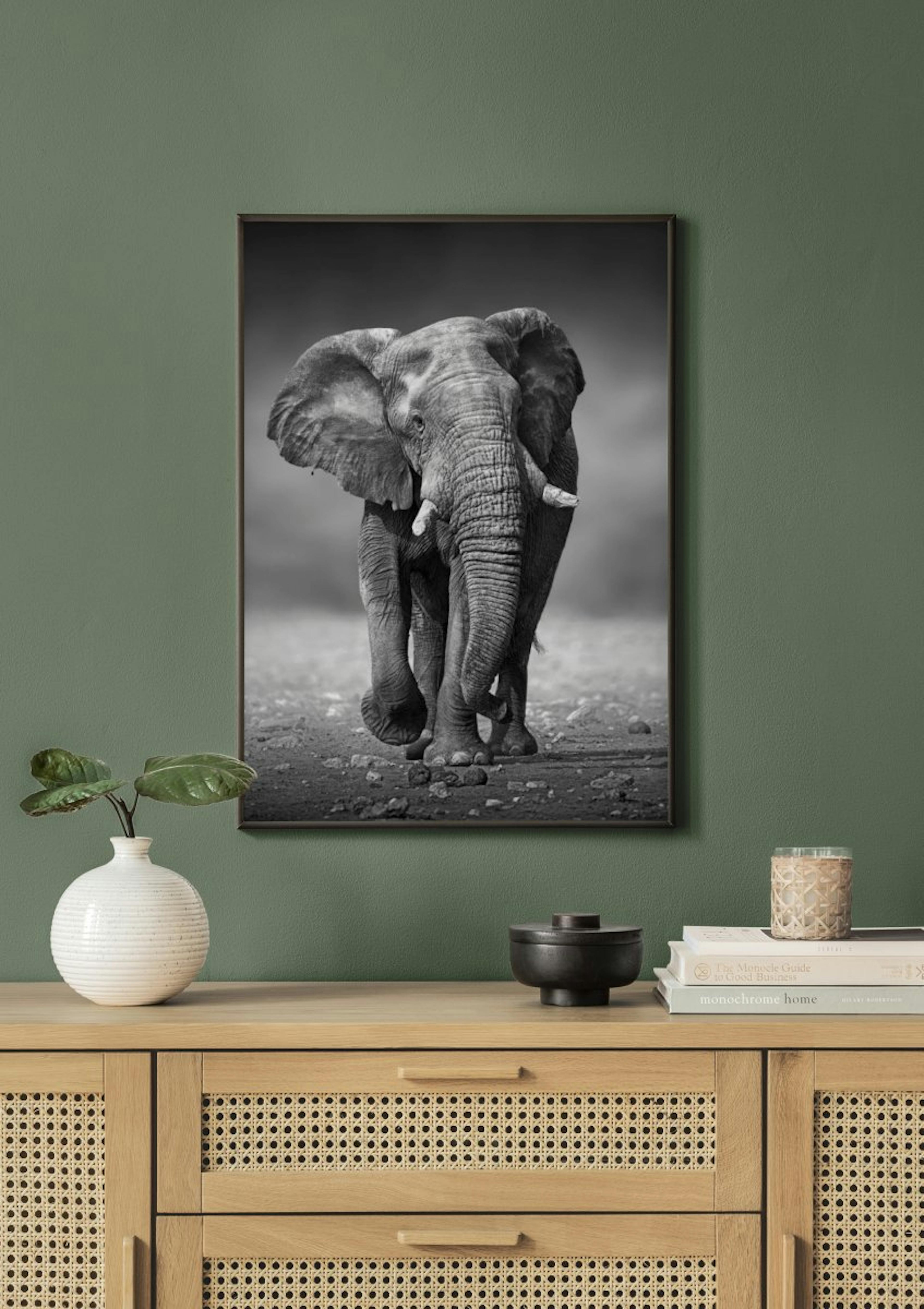Majestic Elephant Poster thumbnail
