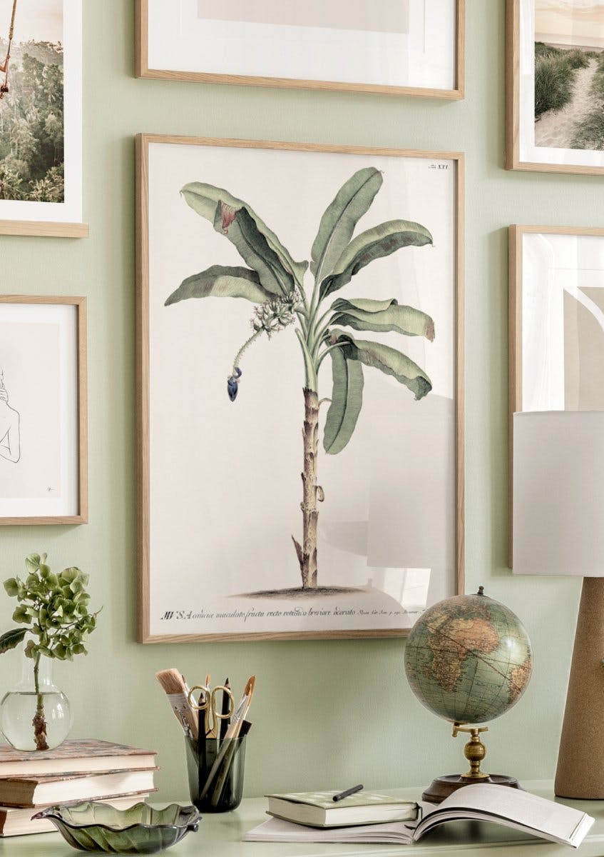 Vintage Banana Tree Poster (30x40 cm) - Poster Store