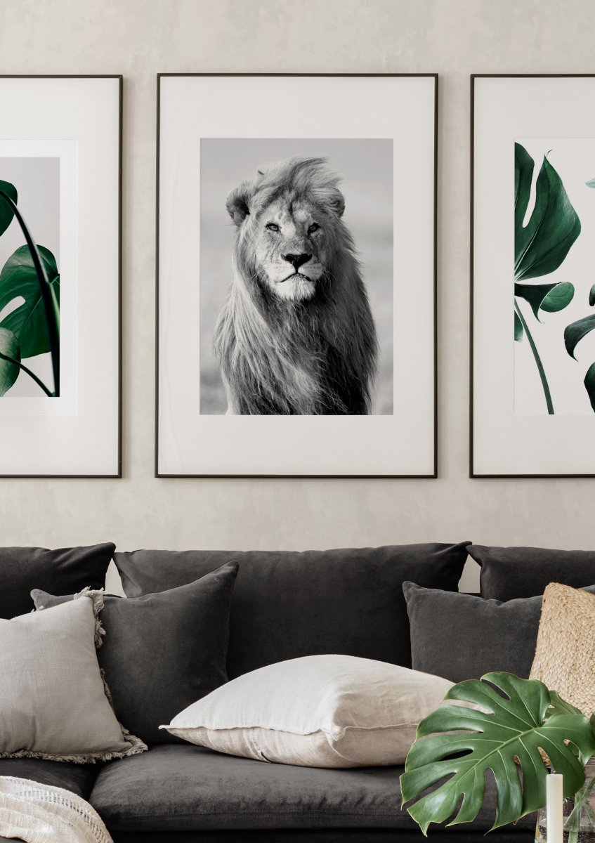 Natur Lion Poster - Löwenposter Kauf Fotografie