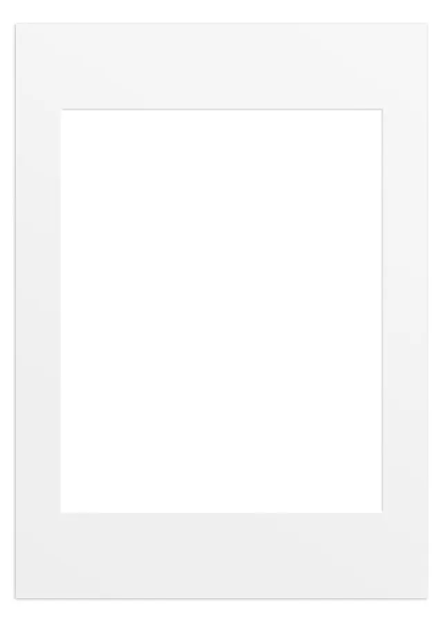 Cadre photo Wild blanc 60x80 cm avec passe-partout 40x50 cm | Leroy Merlin