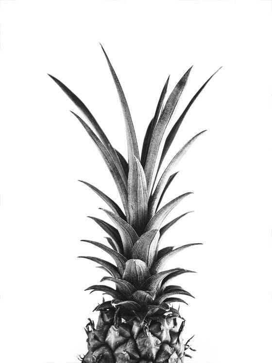 Král ananas Plakát 0