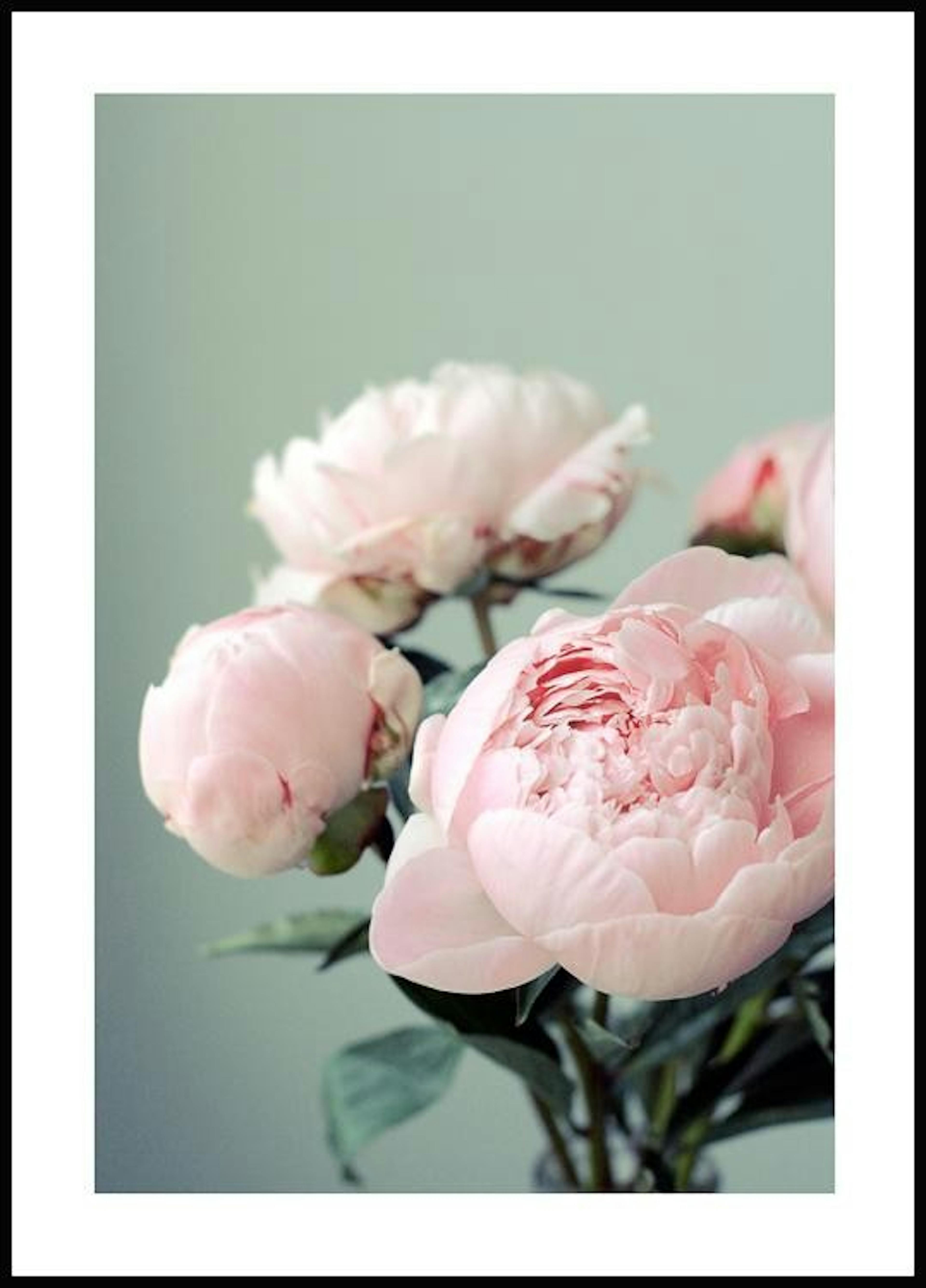モスグリーンとピンクの花 ポスター 0