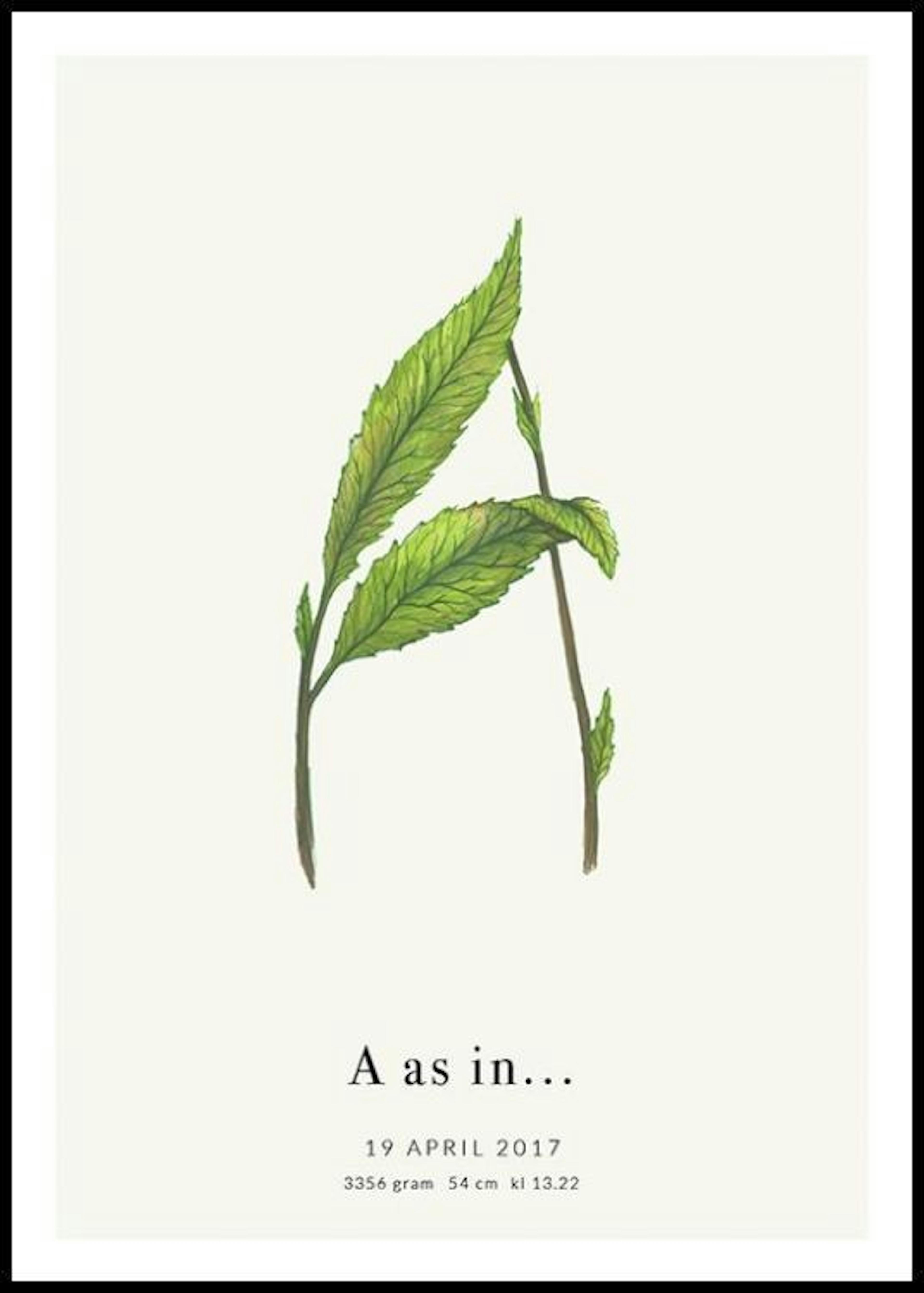 Botanischer Buchstabe A Personalisiert Poster 0