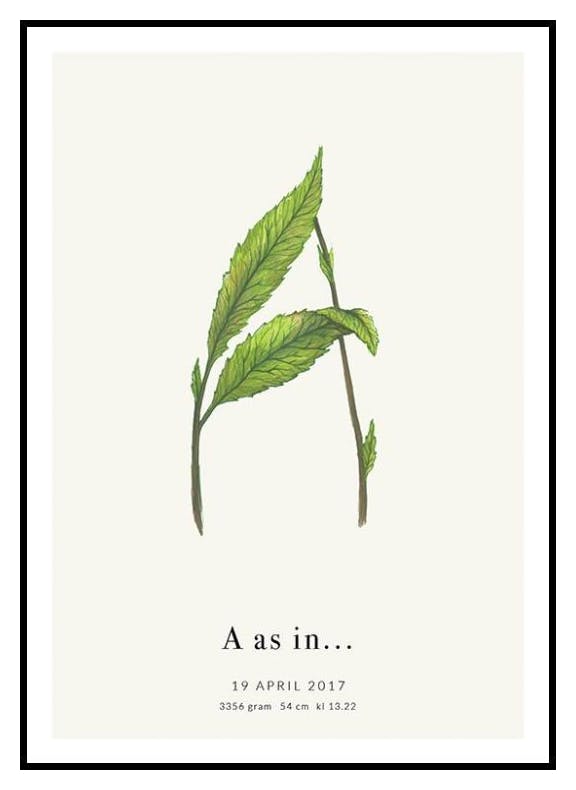 Litera Botaniczna A Plakat Personalizowany (30x40 cm) - Poster Store