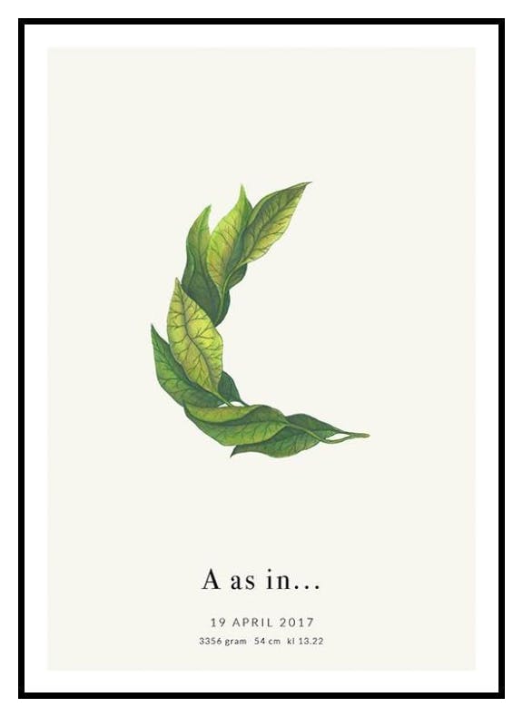 Botanischer Buchstabe C Personalisiert Poster (50x70 cm) - Poster Store