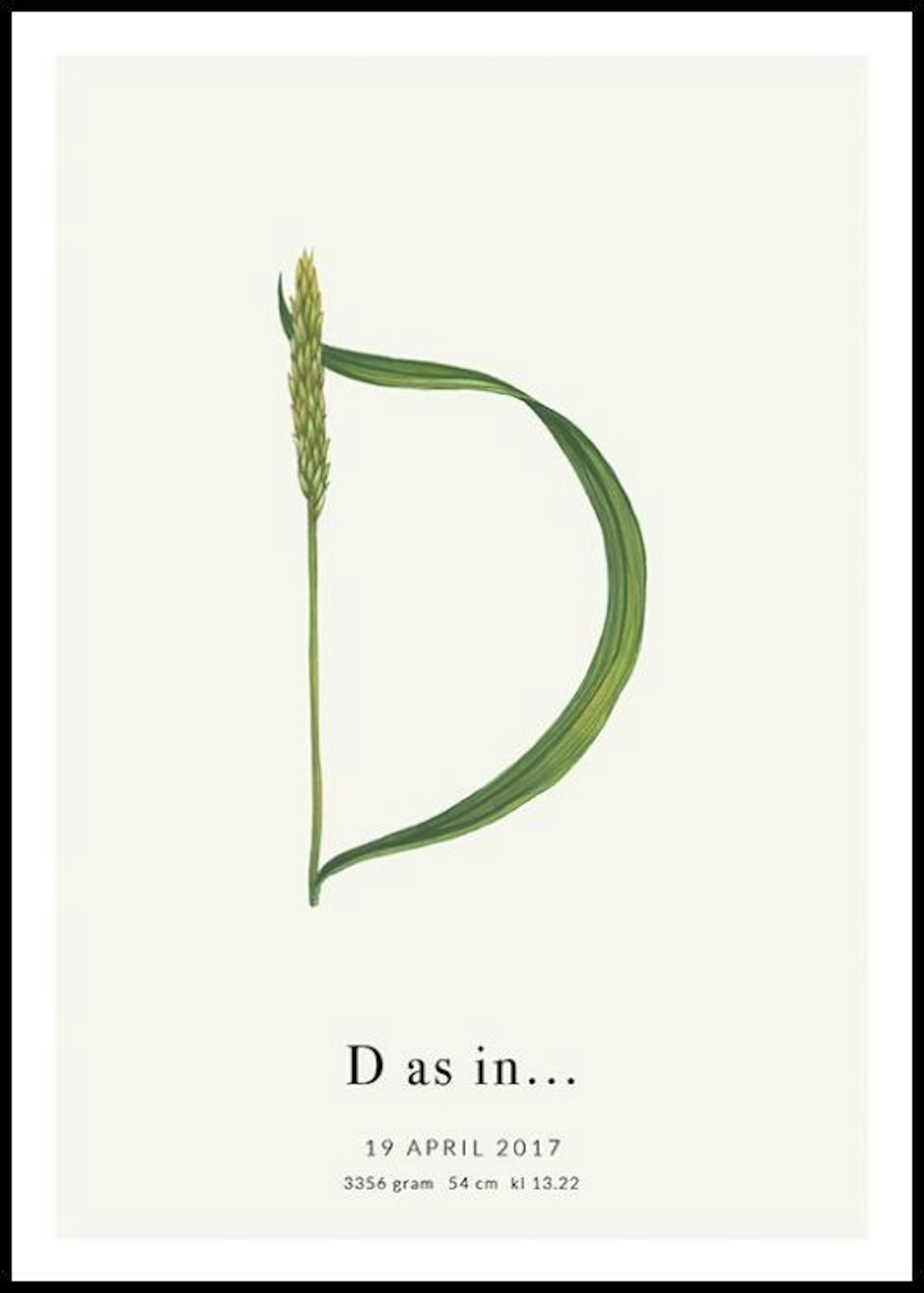 Letra D botánica póster personal 0