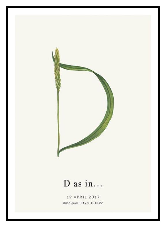 Botanischer Buchstabe D Personalisiert Poster (50x70 cm) - Poster Store