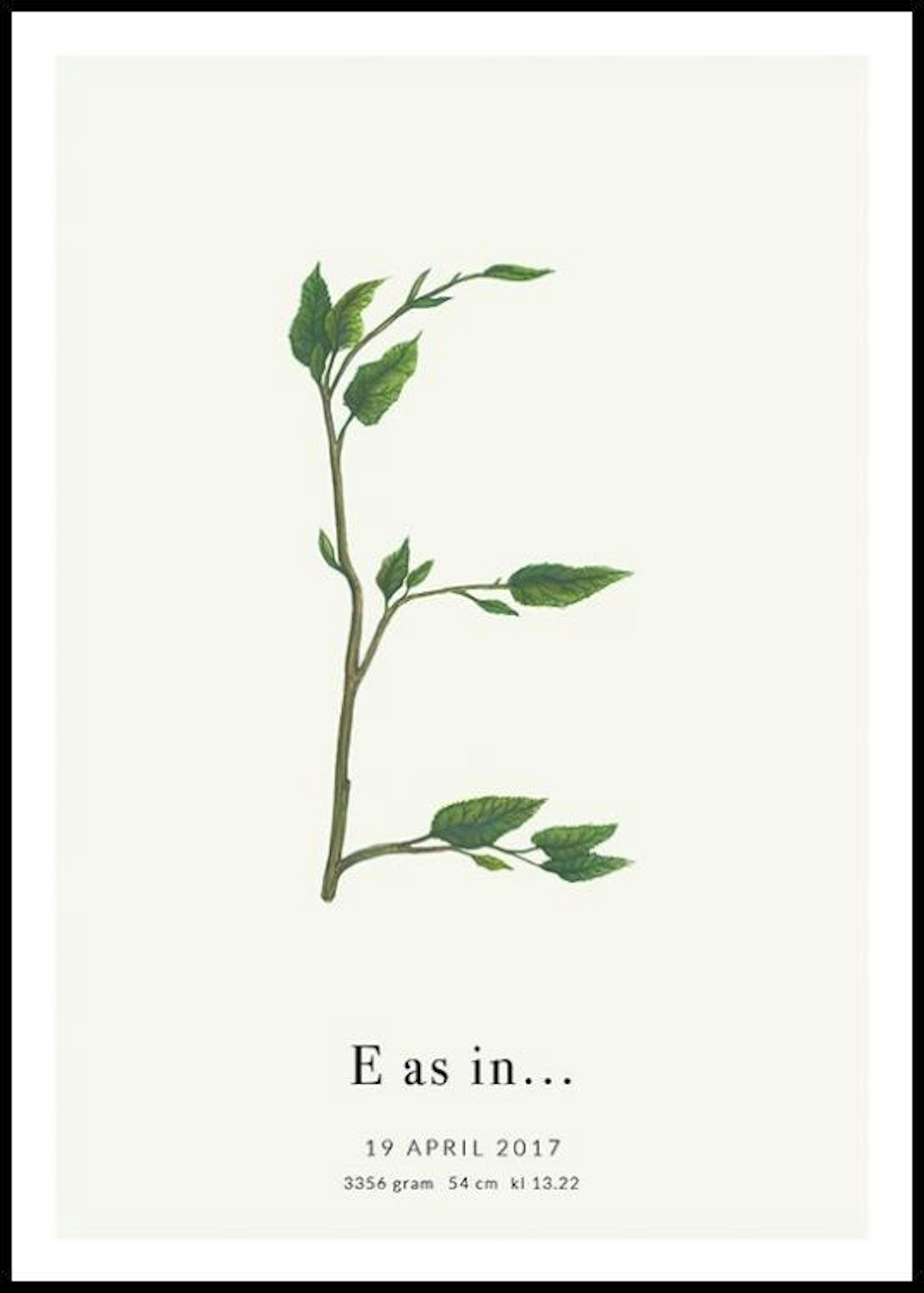 Botanischer Buchstabe E Personalisiert Poster 0