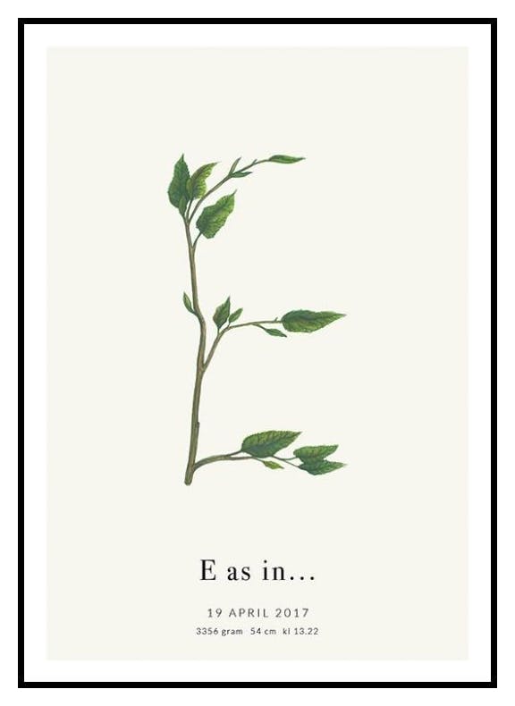 Litera Botaniczna E Plakat Personalizowany (50x70 cm) - Poster Store