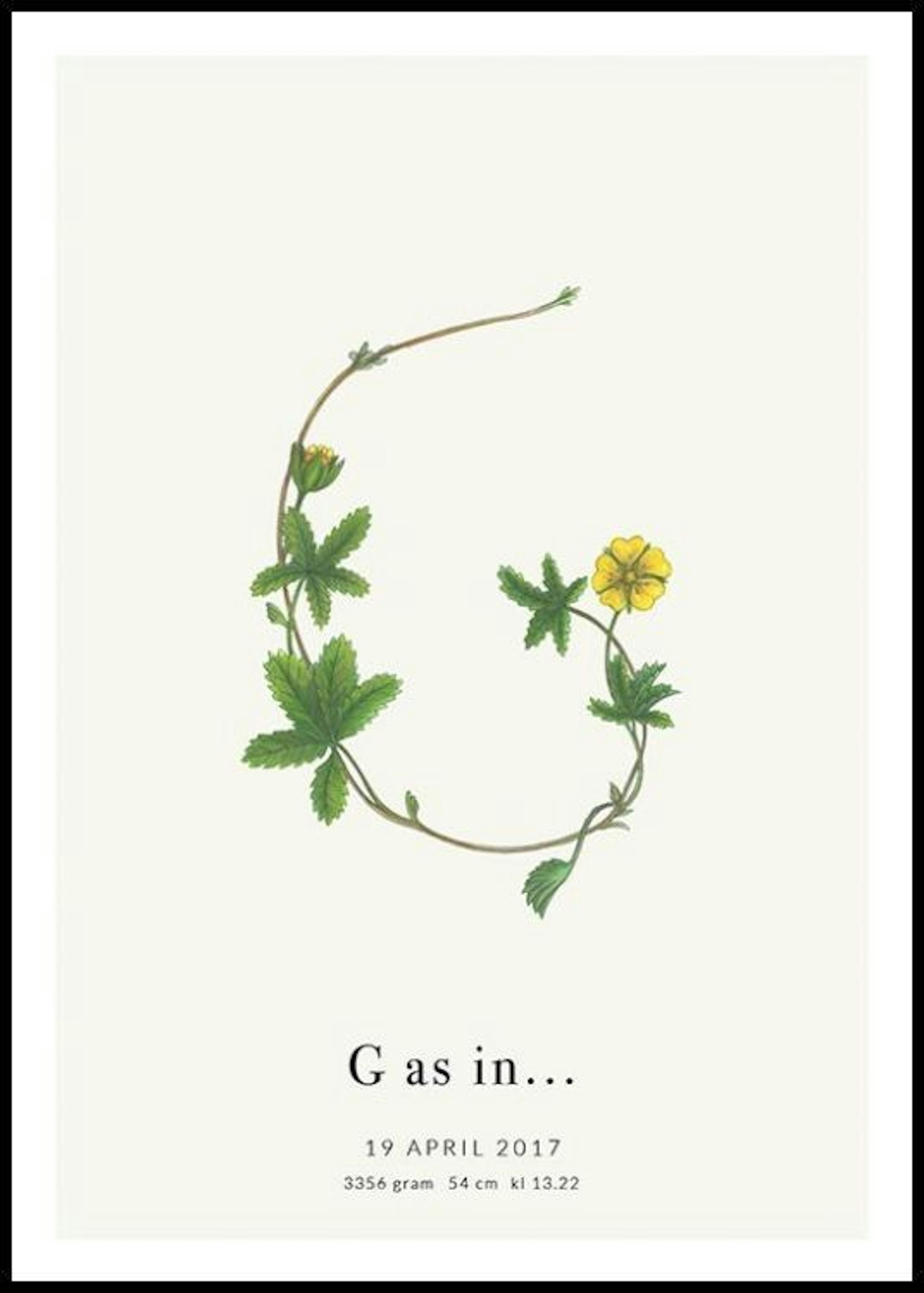 Letra G botánica póster personal 0