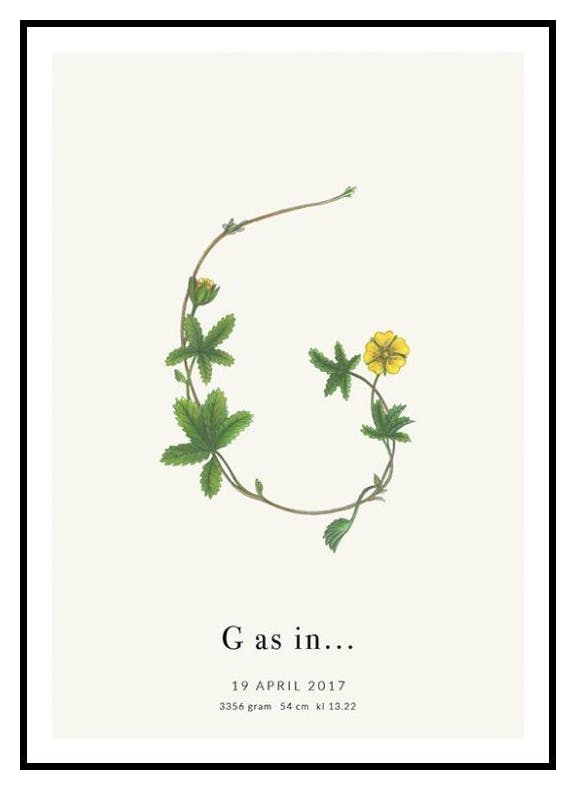 Botanisk bokstav G personlig plakat (50x70 cm) - Poster Store