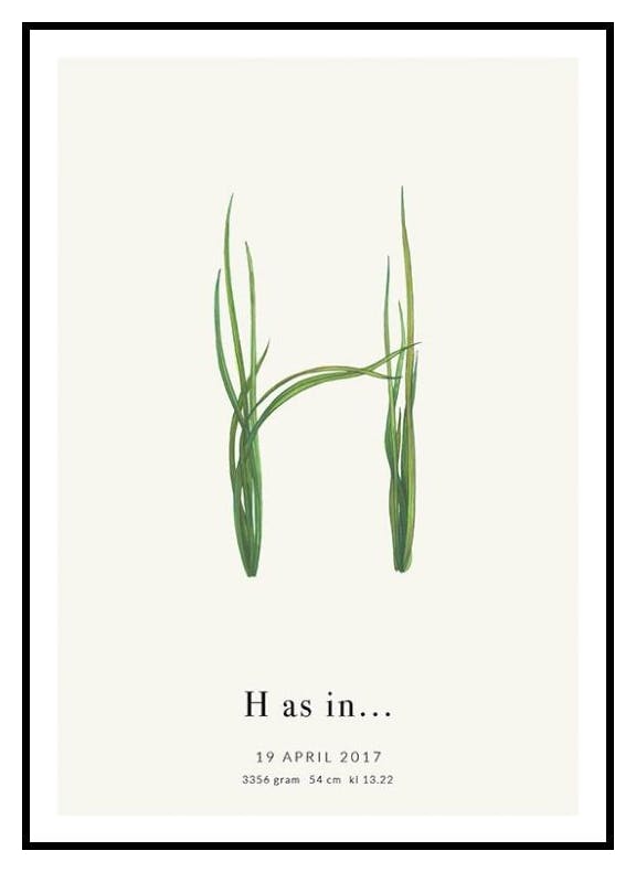 Lettre Botanique H Poster Personnalisé (30x40 cm) - Poster Store