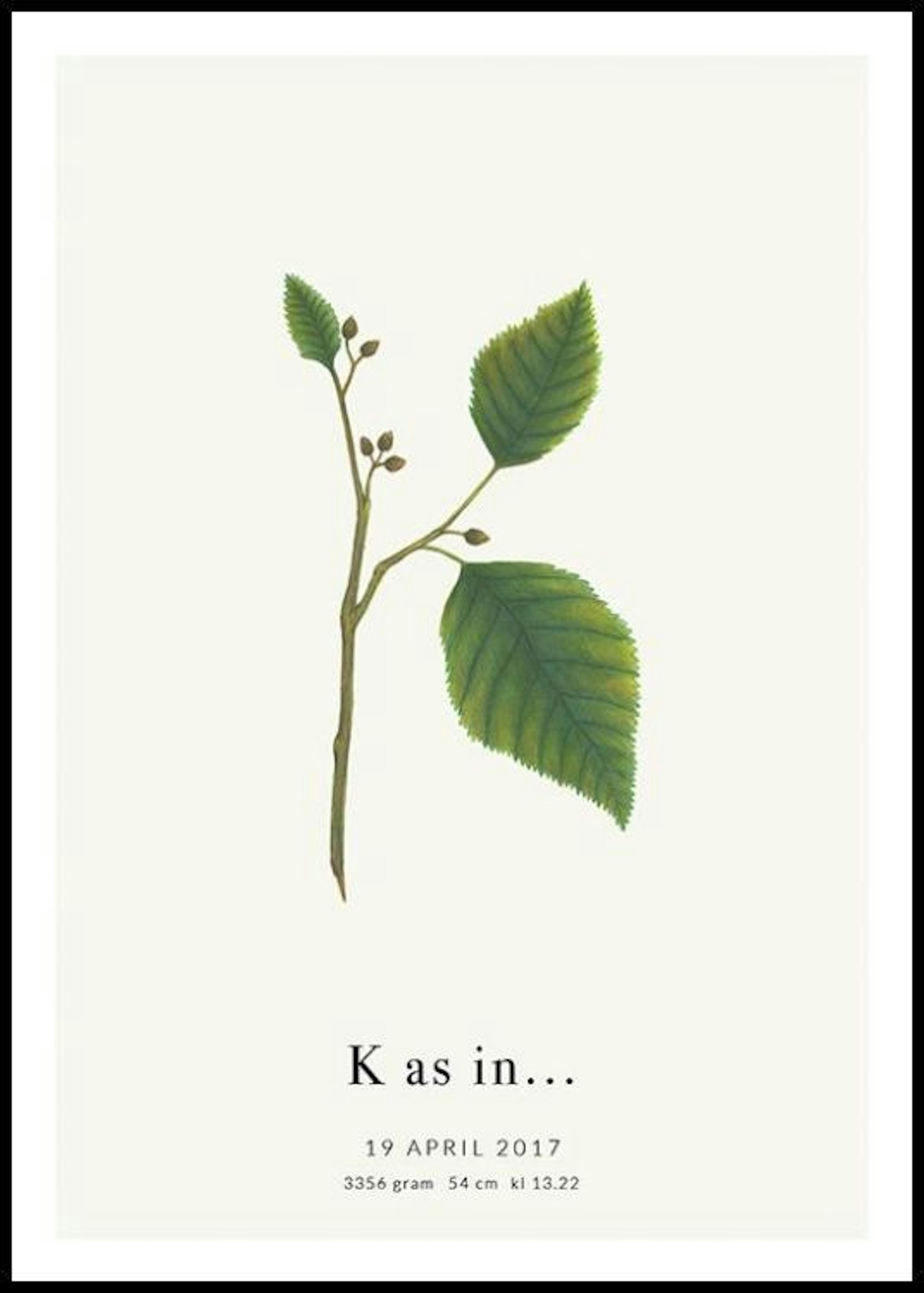 Botanische letter K persoonlijke poster 0