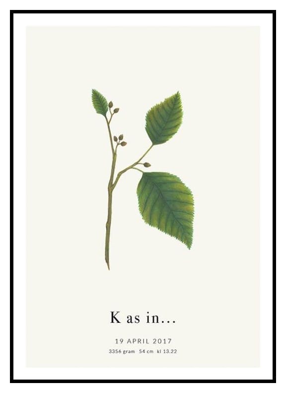 Litera Botaniczna K Plakat Personalizowany (30x40 cm) - Poster Store