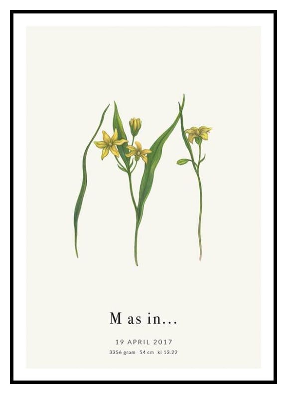 Litera Botaniczna M Plakat Personalizowany (50x70 cm) - Poster Store