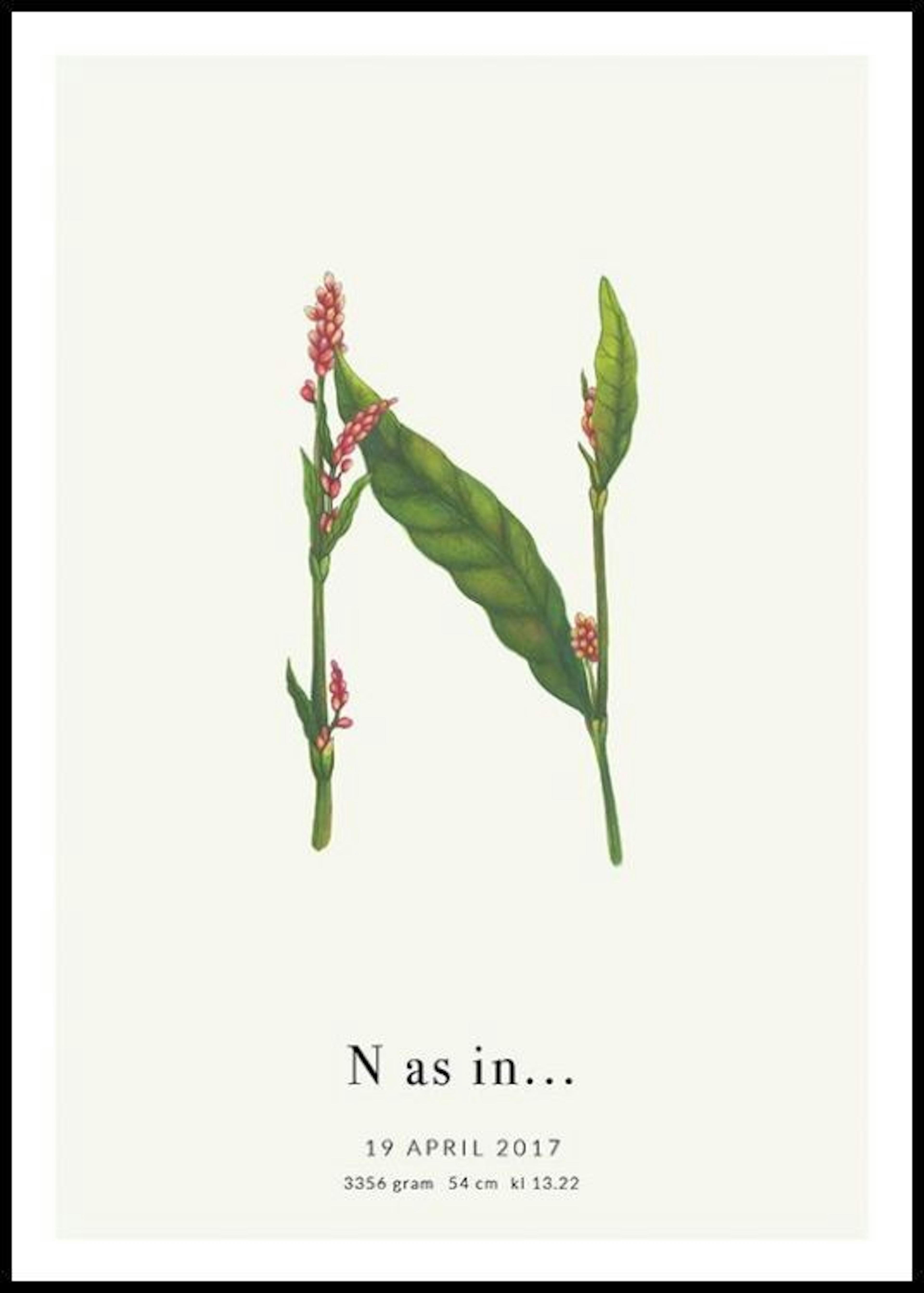 Botanischer Buchstabe N Personalisiert Poster 0