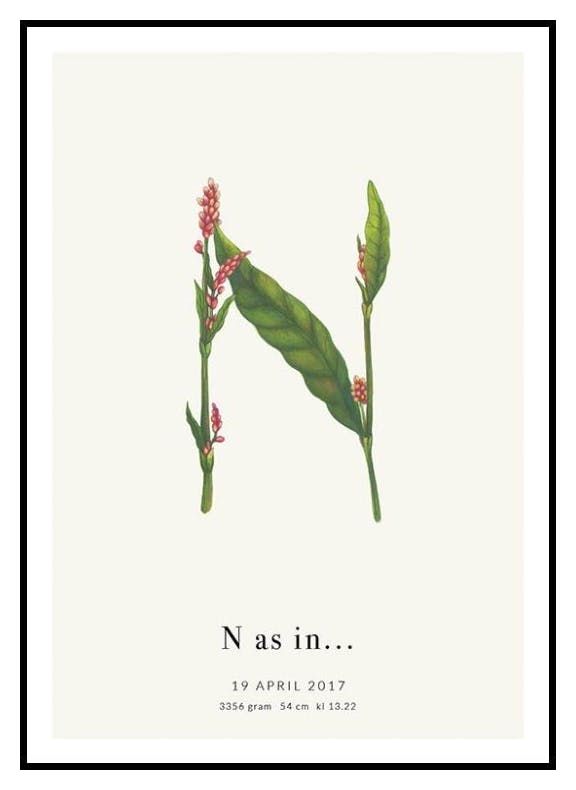 Litera Botaniczna N Plakat Personalizowany (50x70 cm) - Poster Store