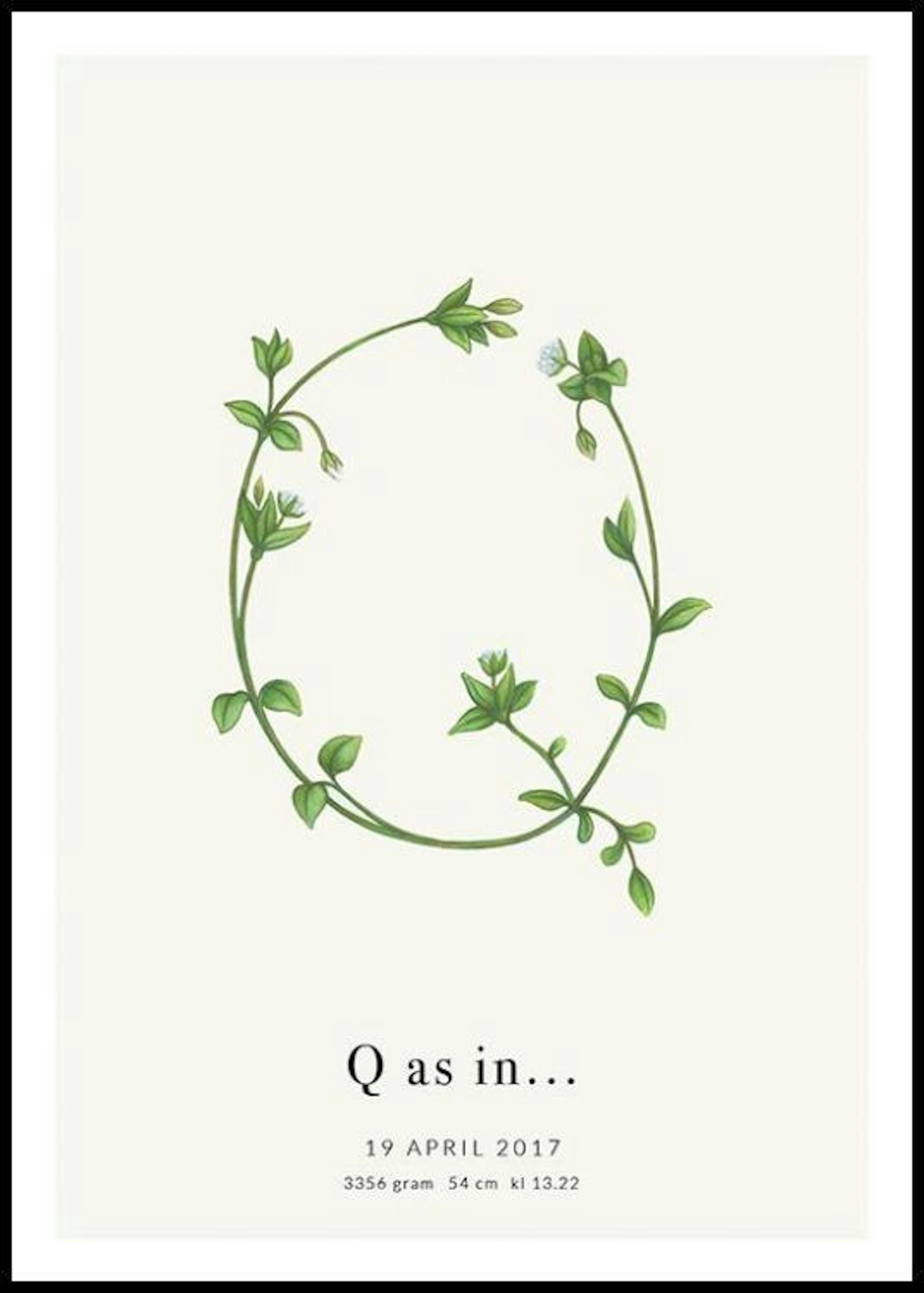 Letra Q botánica póster personal 0