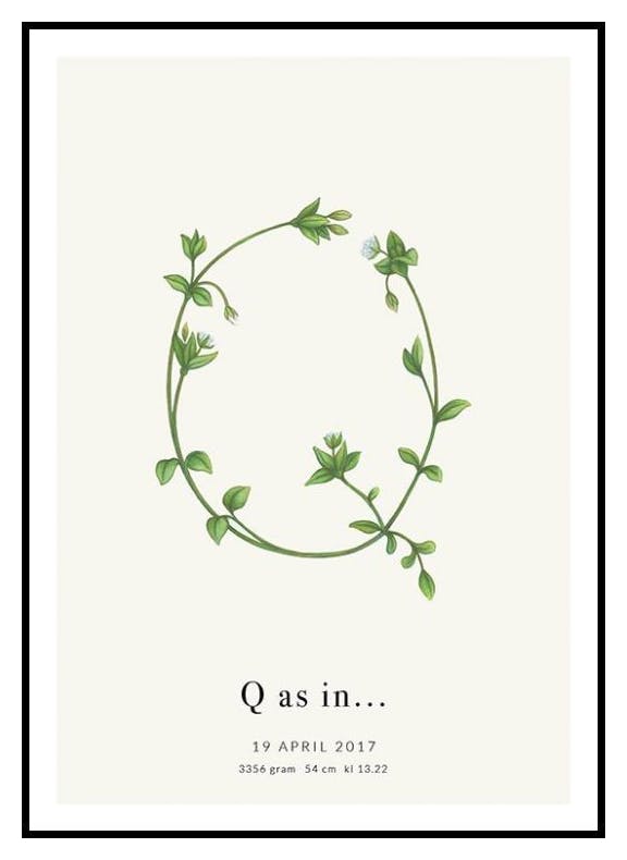 Botanisk bokstav Q personlig plakat (50x70 cm) - Poster Store