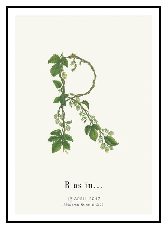 Litera Botaniczna R Plakat Personalizowany (30x40 cm) - Poster Store