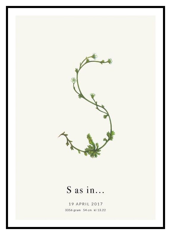 Lettre Botanique S Poster Personnalisé (50x70 cm) - Poster Store