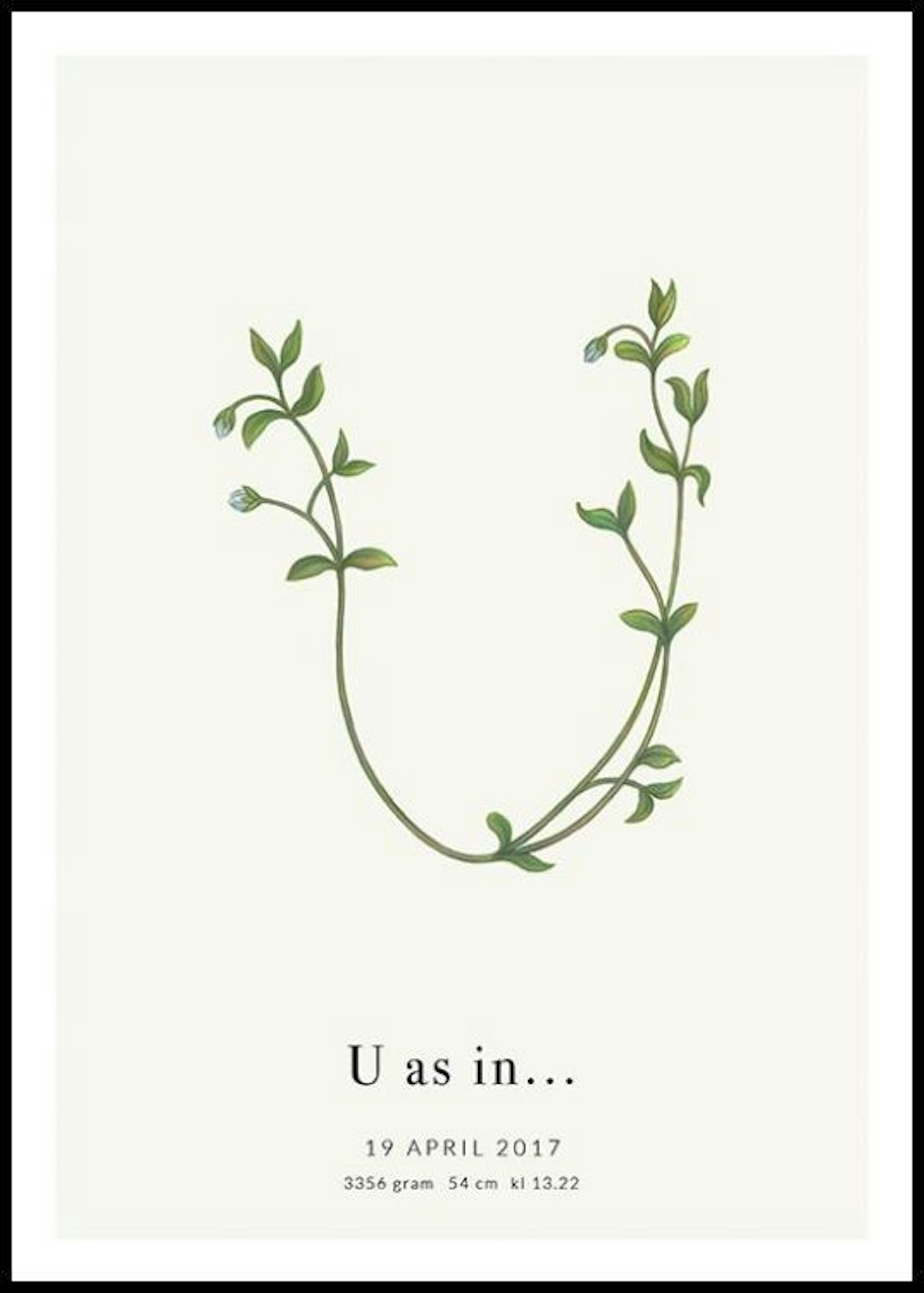 „U” botanikai betű Személyre Szabott Poszter 0