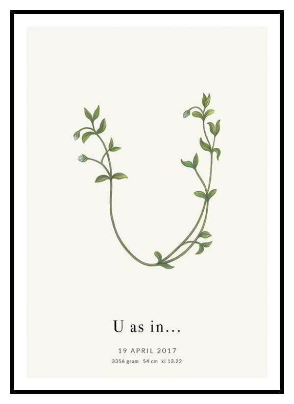 Botanisk Bokstav U Personlig Poster (50x70 cm) - Poster Store