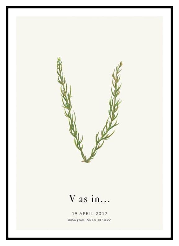 Botanic Letter V Personal Poster (30x40 cm) - Poster Store