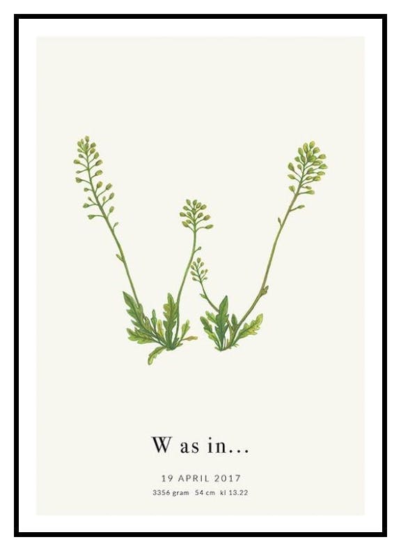 Botanisk bokstav W personlig plakat (50x70 cm) - Poster Store