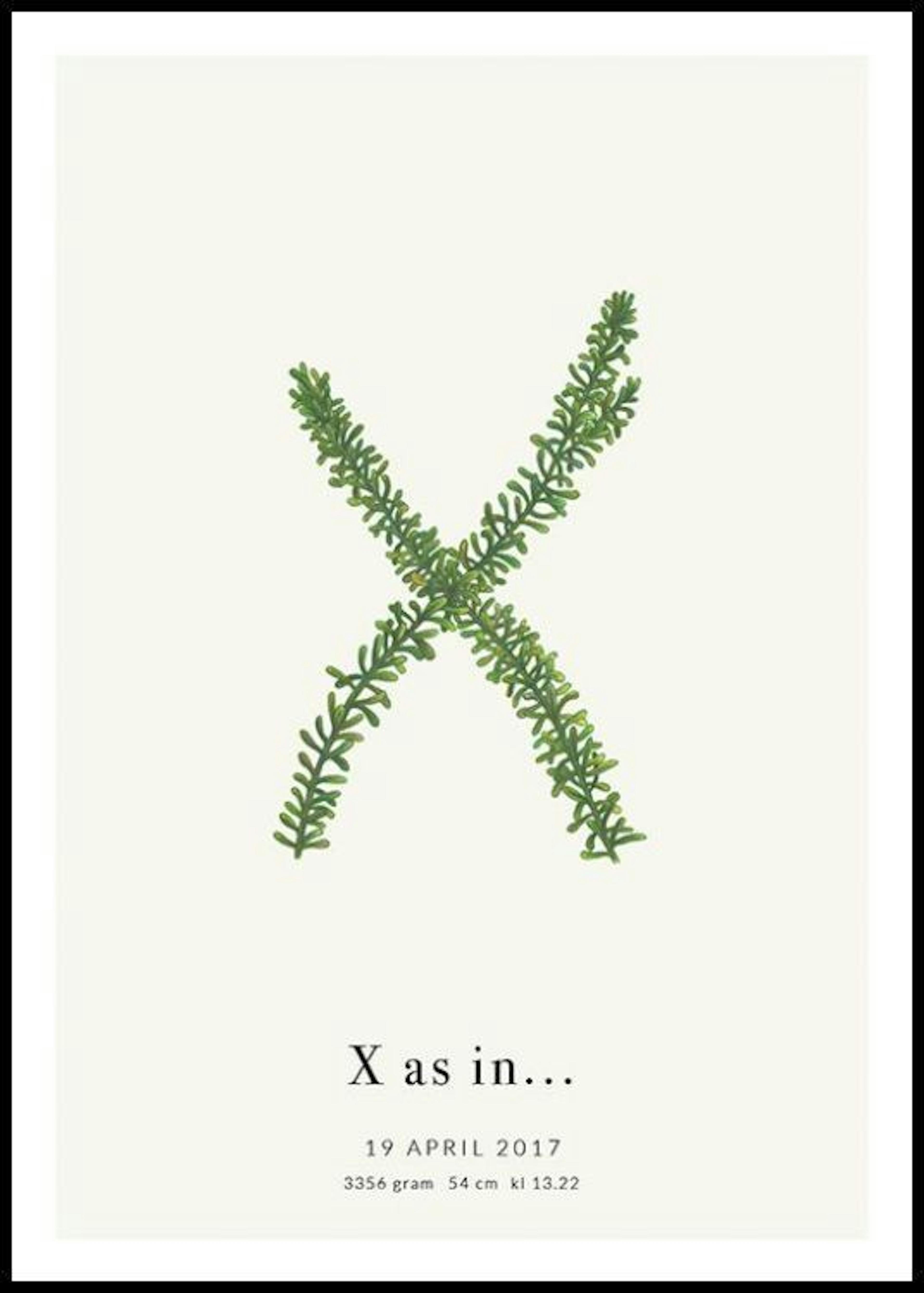 Letra X botánica póster personal 0