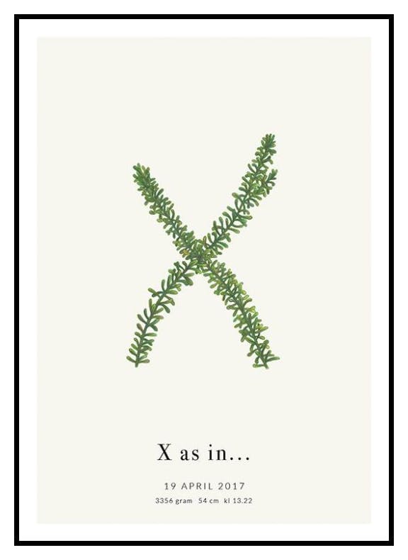Litera Botaniczna X Plakat Personalizowany (50x70 cm) - Poster Store
