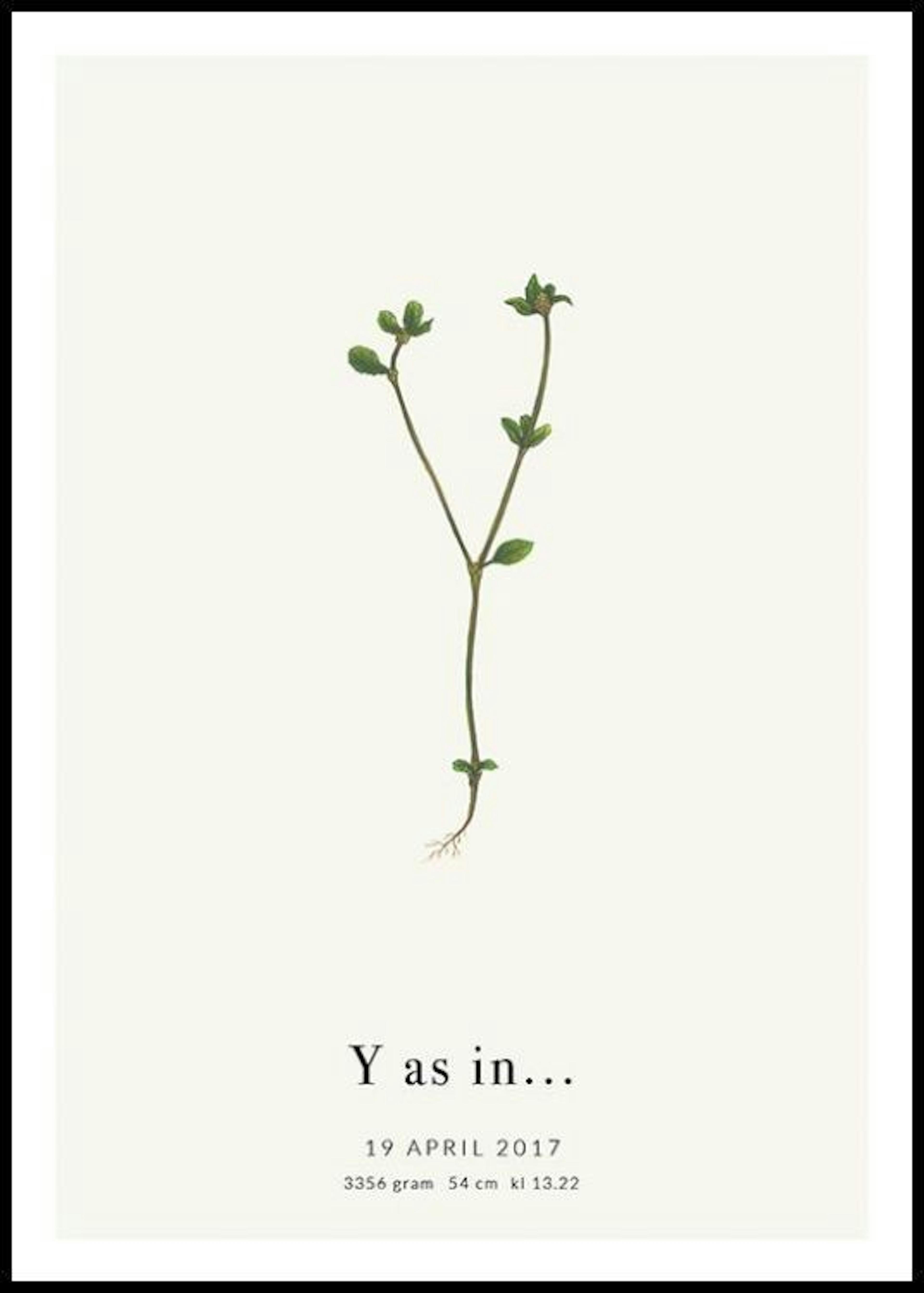 „Y” botanikai betű Személyre Szabott Poszter 0