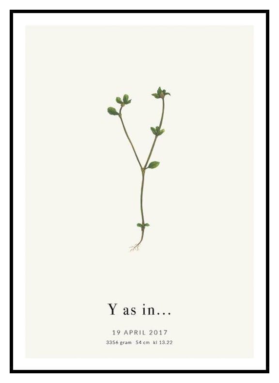Botanischer Buchstabe Y Personalisiert Poster (50x70 cm) - Poster Store