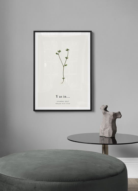 Botanic Letter Y Personal Poster (30x40 cm) - Poster Store