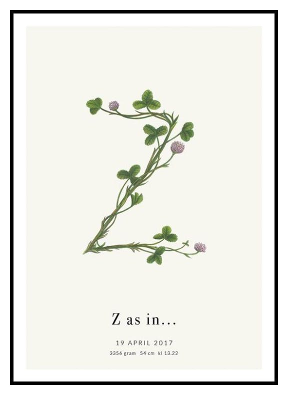 Botanisk Bokstav Z Personlig Poster (30x40 cm) - Poster Store
