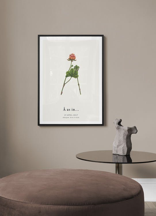 Botanic Letter Å Personal Poster (30x40 cm) - Poster Store