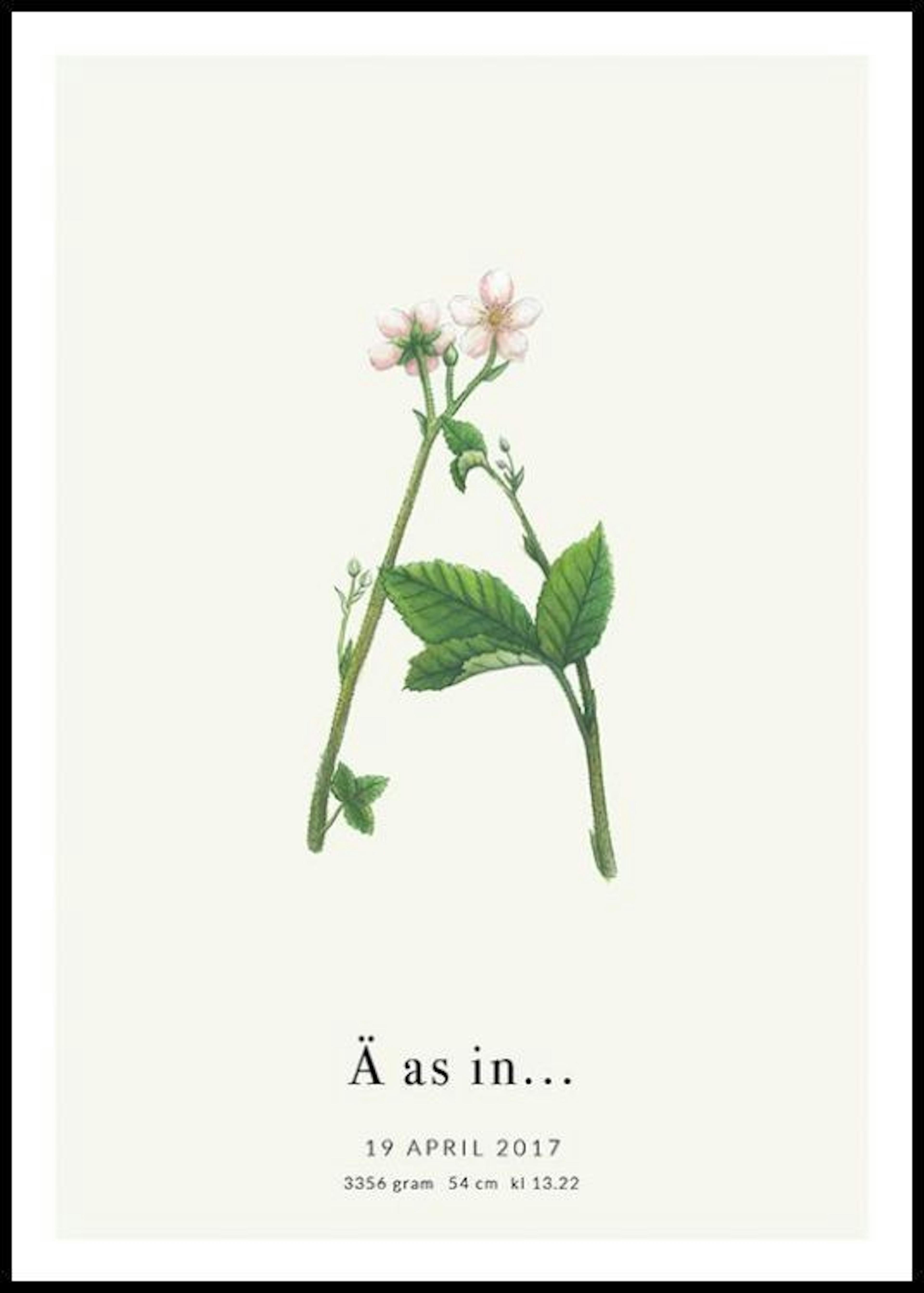 Botanische letter Ä persoonlijke poster 0
