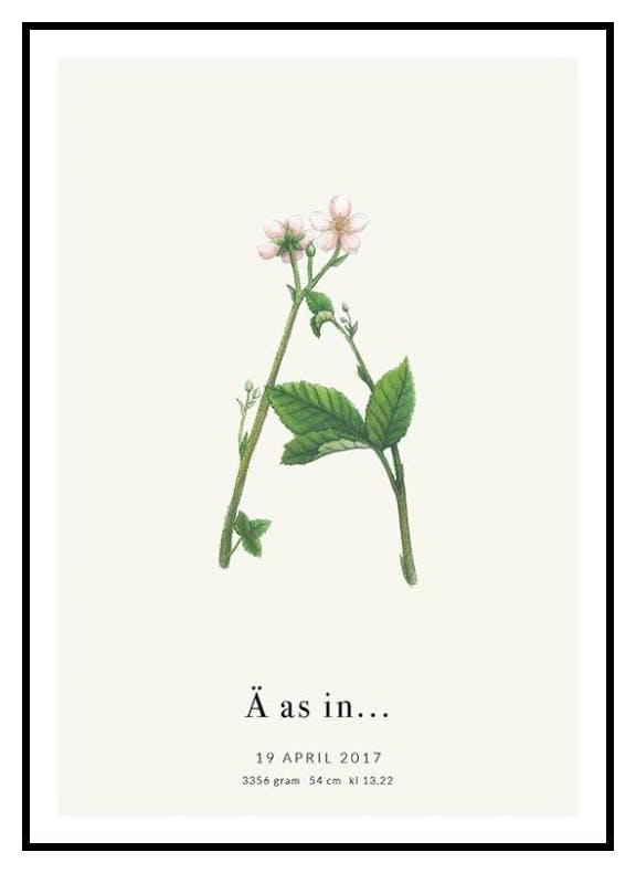 Botanisk bokstav Ä personlig plakat (50x70 cm) - Poster Store